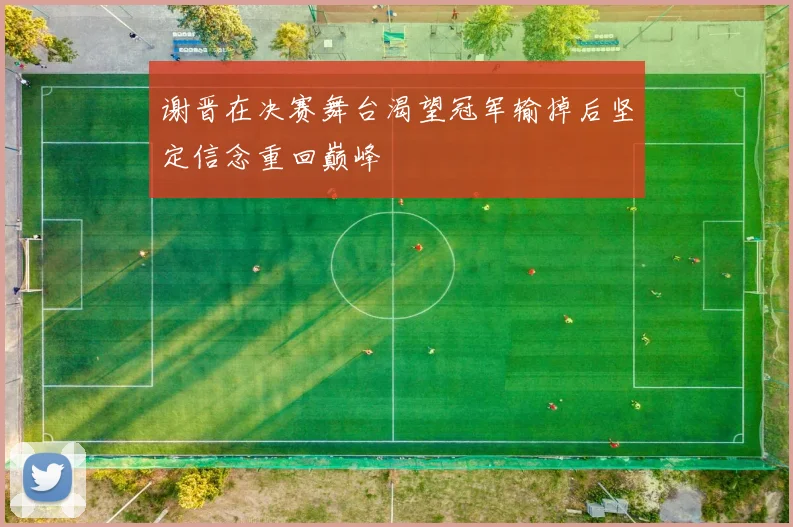 谢晋在决赛舞台渴望冠军输掉后坚定信念重回巅峰
